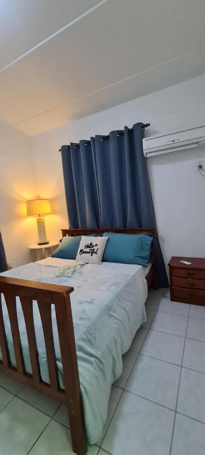 Family Villa With Big Pool And Absolute Privacy Willemstad Bagian luar foto